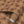 Cowrie Shells and Eyes Wallpaper in Butterscotch