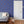 Cowrie Shells and Eyes Wallpaper in Cobalt
