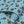 Cowrie Shells and Eyes Wallpaper in Cornflower