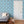 Cowrie Shells and Eyes Wallpaper in Cornflower