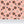 Cowrie Shells and Eyes Wallpaper in Tea Rose