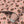 Cowrie Shells and Eyes Wallpaper in Tea Rose
